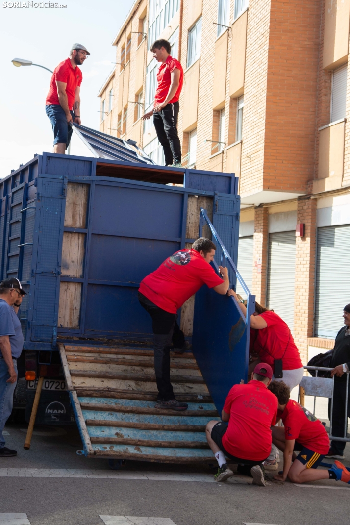 Carretones y Trashumancia infantil
