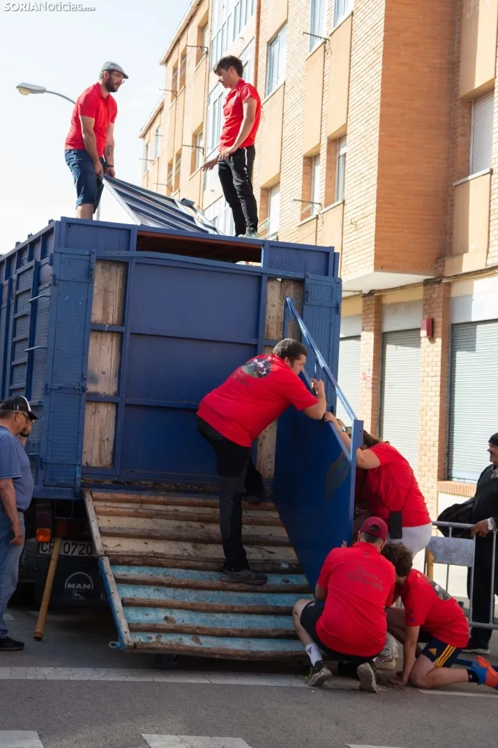 Carretones y Trashumancia infantil