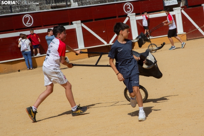 Carretones y Trashumancia infantil