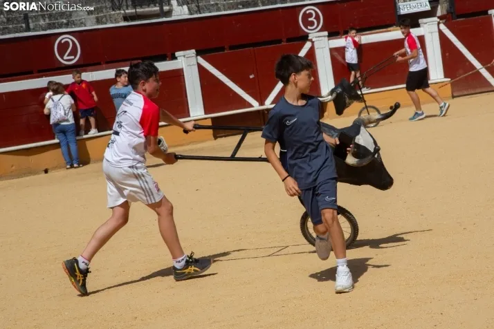 Carretones y Trashumancia infantil