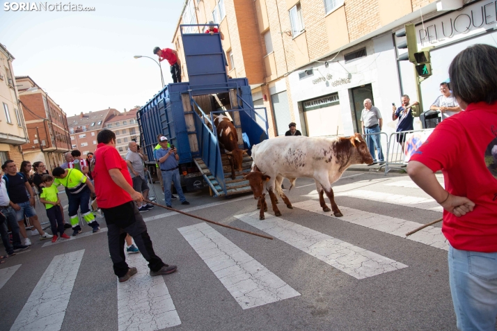 Carretones y Trashumancia infantil