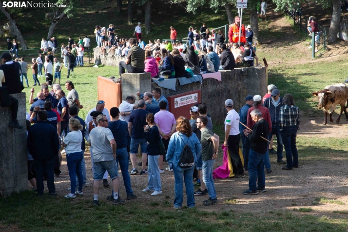 Chiringuitos La Compra 2025
