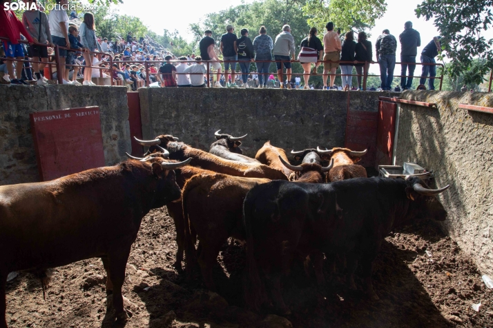 Chiringuitos La Compra 2025