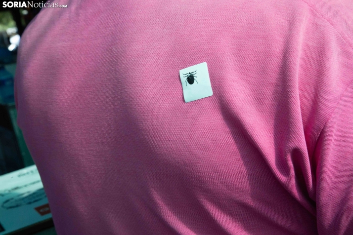 Chiringuitos La Compra 2025