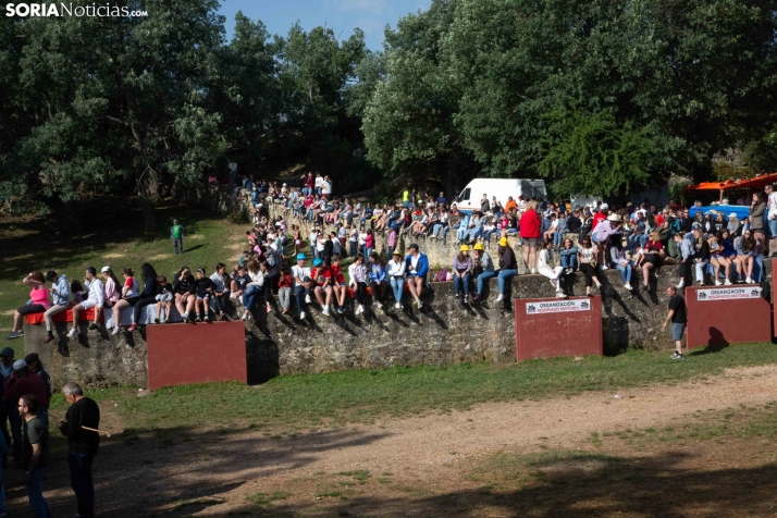 Chiringuitos La Compra 2025