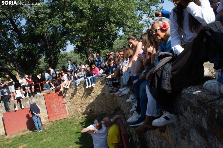 Chiringuitos La Compra 2025