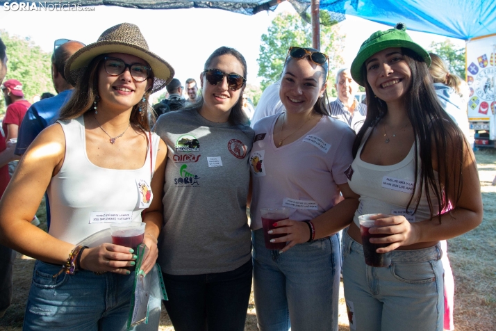 Chiringuitos Lavalenguas 2025