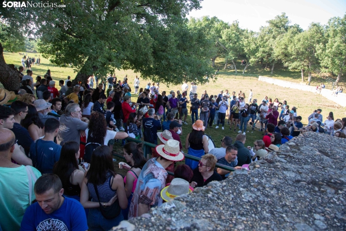 Chiringuitos Lavalenguas 2025