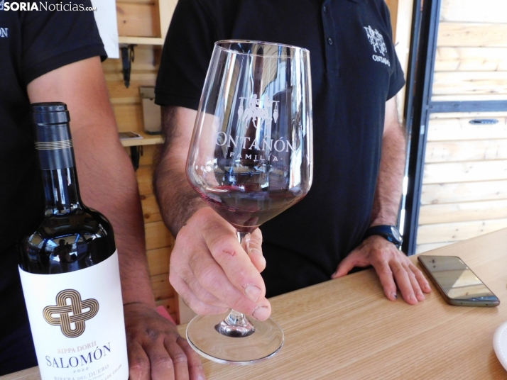 Fotos: Los mejores vinos de Soria se dan cita en San Esteban