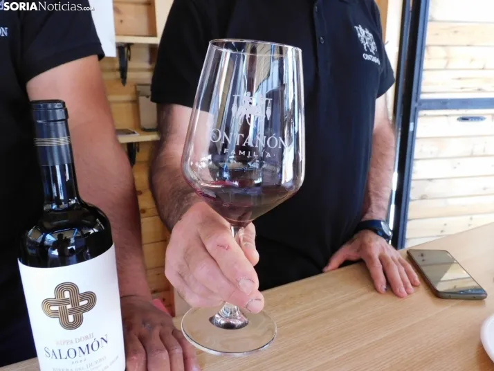 Fotos: Los mejores vinos de Soria se dan cita en San Esteban