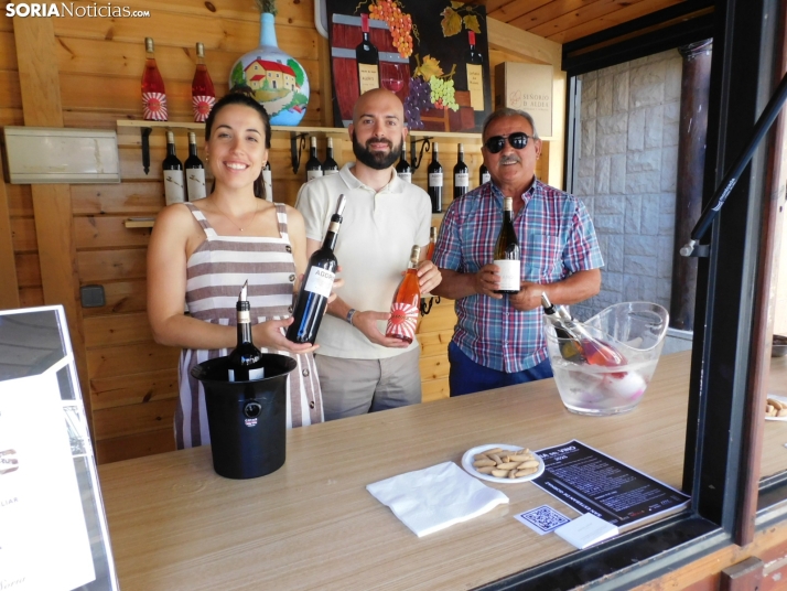 Fotos: Los mejores vinos de Soria se dan cita en San Esteban