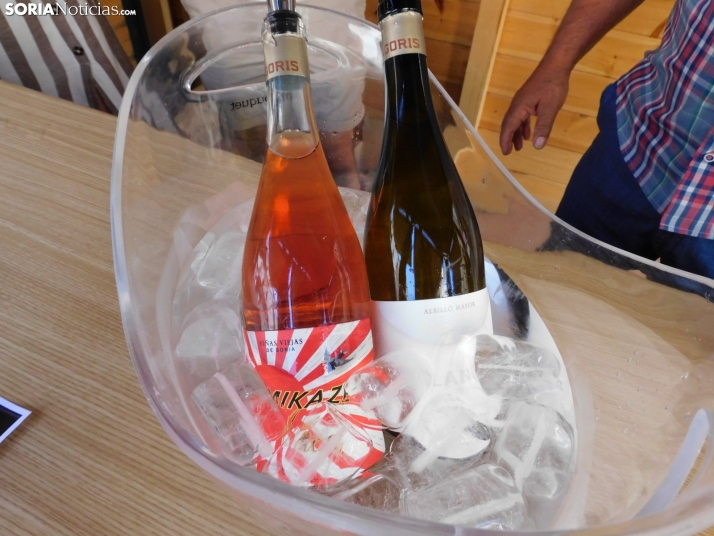 Fotos: Los mejores vinos de Soria se dan cita en San Esteban