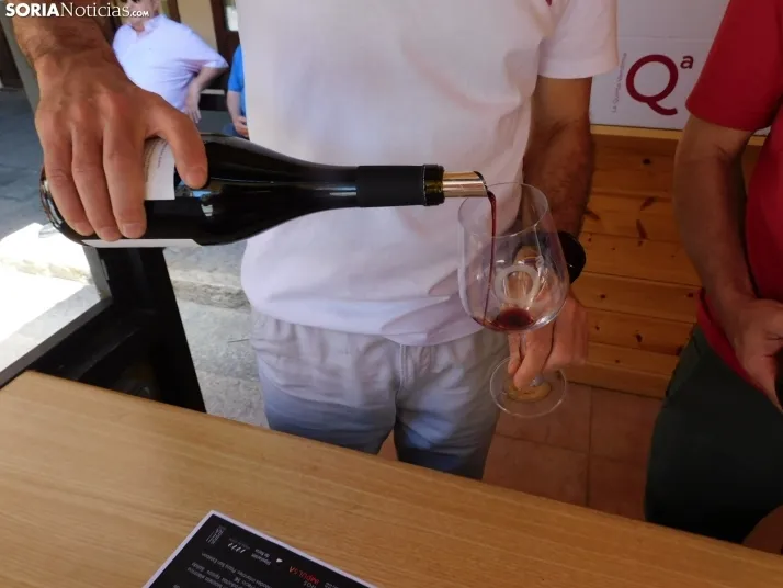Fotos: Los mejores vinos de Soria se dan cita en San Esteban