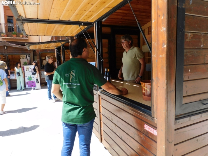 Fotos: Los mejores vinos de Soria se dan cita en San Esteban