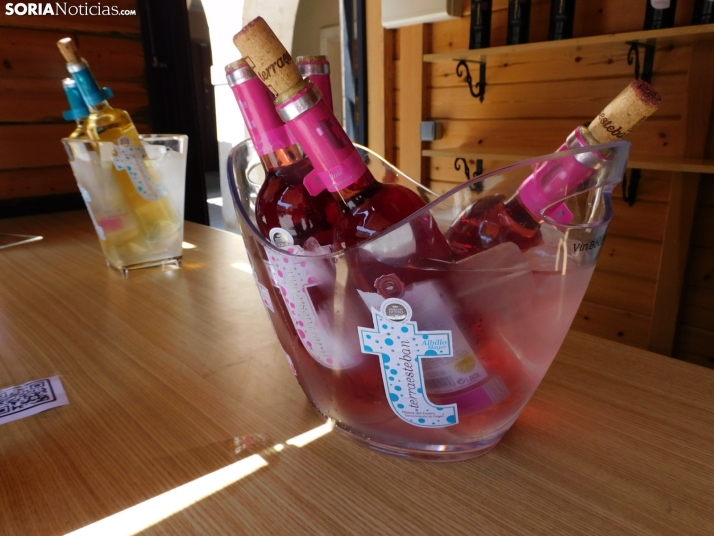 Fotos: Los mejores vinos de Soria se dan cita en San Esteban