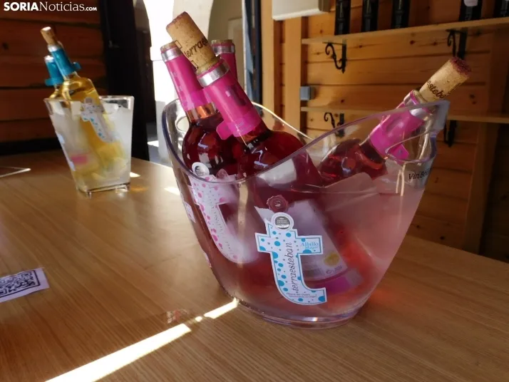 Fotos: Los mejores vinos de Soria se dan cita en San Esteban