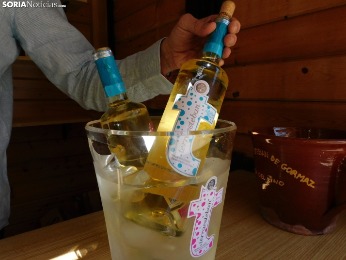 Fotos: Los mejores vinos de Soria se dan cita en San Esteban