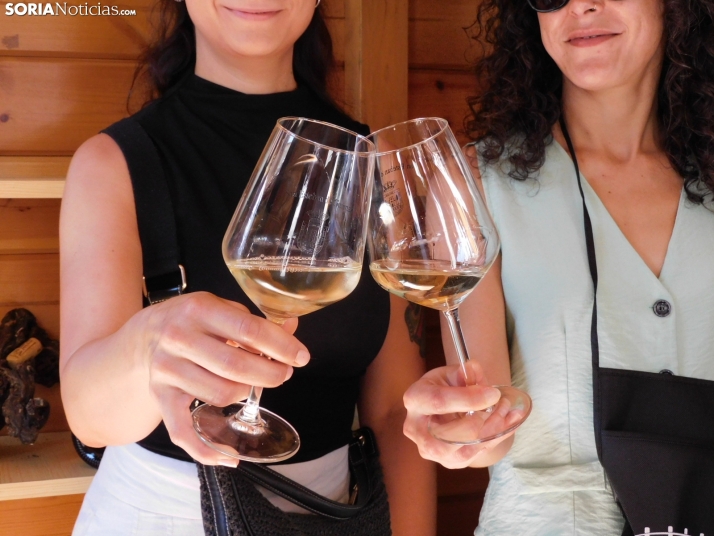 Fotos: Los mejores vinos de Soria se dan cita en San Esteban