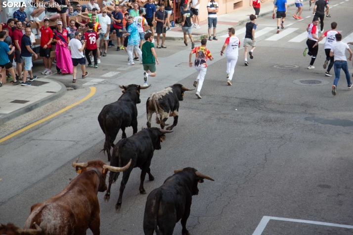 Encierro pre-sanjuanero