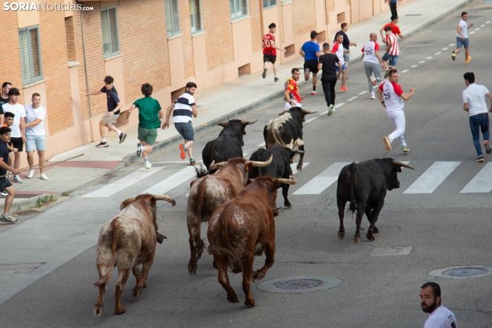 Encierro pre-sanjuanero