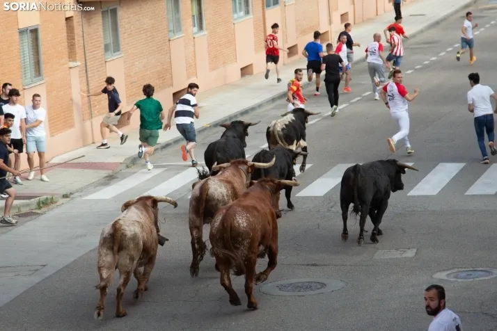 Encierro pre-sanjuanero