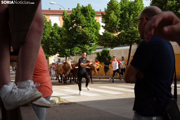 Encierro pre-sanjuanero