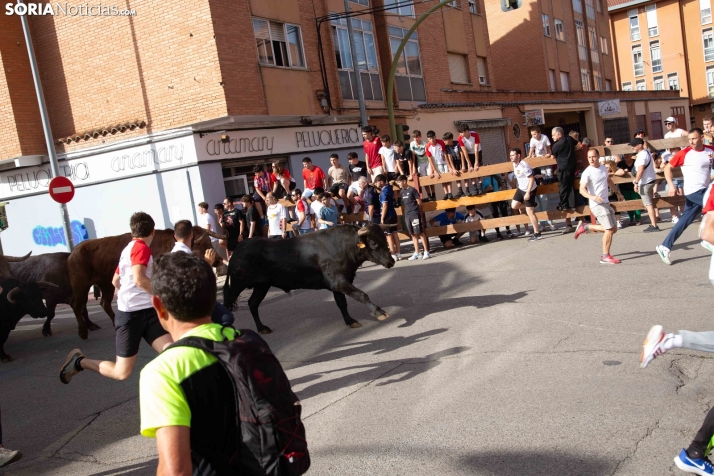 Encierro pre-sanjuanero