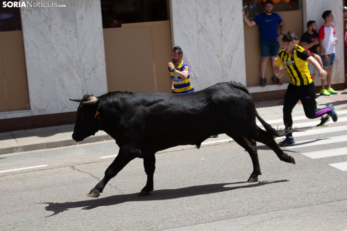 Encierro pre-sanjuanero