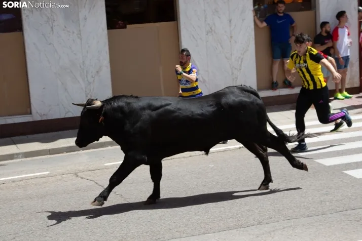 Encierro pre-sanjuanero