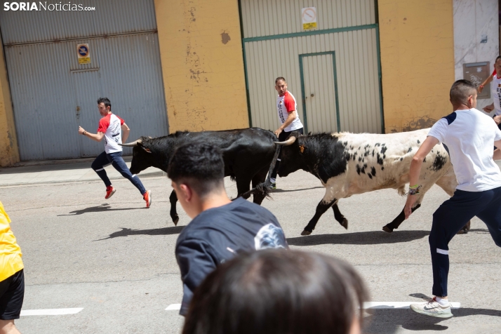Encierro pre-sanjuanero