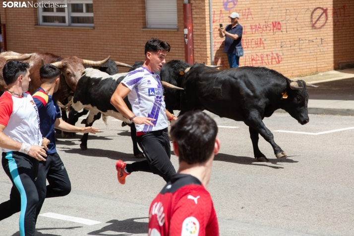 Encierro pre-sanjuanero