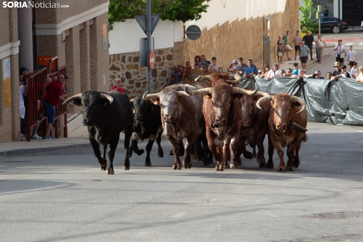 Encierro pre-sanjuanero