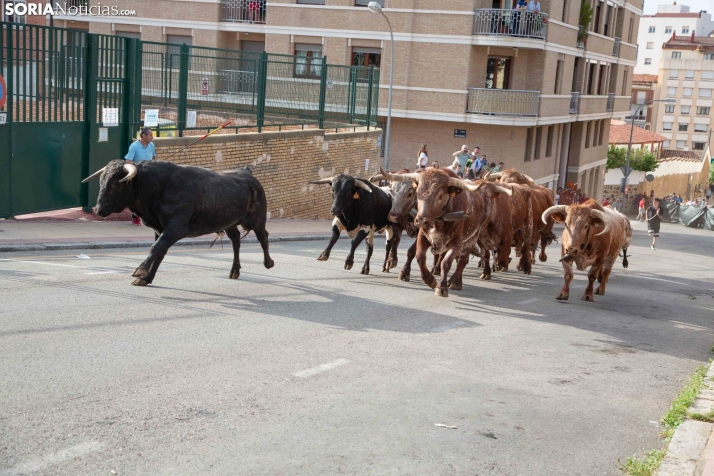 Encierro pre-sanjuanero