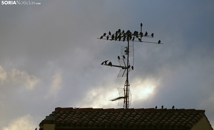 Miércoles gris, con posibilidad de lluvia y temperaturas más que frescas
