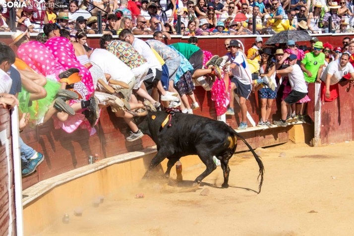 Tarde novilleril del Viernes de Toros 2025. Viksar Fotografía