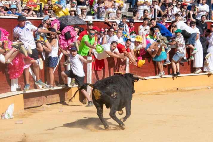 Tarde novilleril del Viernes de Toros 2025. Viksar Fotografía