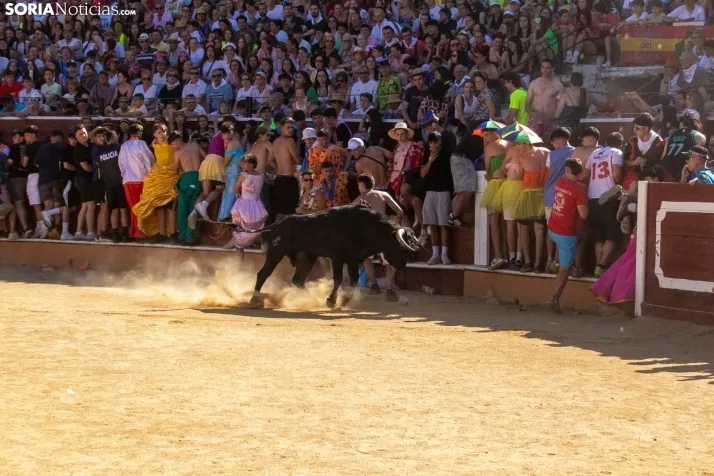 Tarde novilleril del Viernes de Toros 2025. Viksar Fotografía