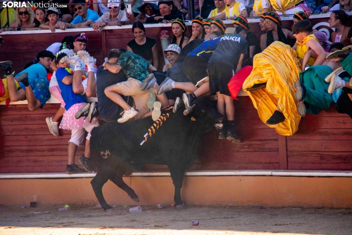 Tarde novilleril del Viernes de Toros 2025. Viksar Fotografía