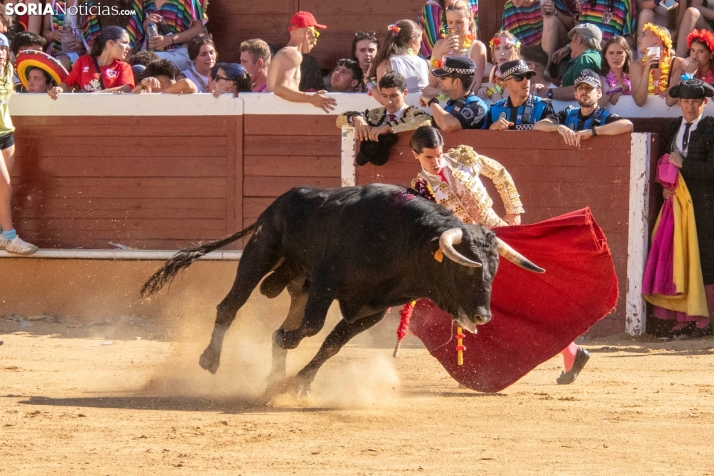 Tarde novilleril del Viernes de Toros 2025. Viksar Fotografía