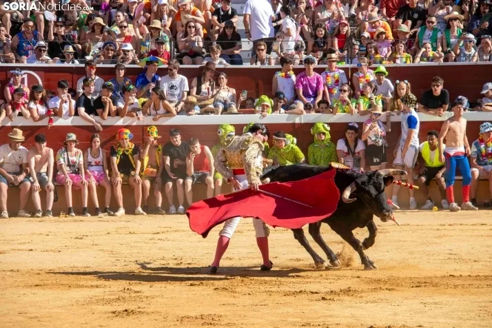 Tarde novilleril del Viernes de Toros 2025. Viksar Fotografía