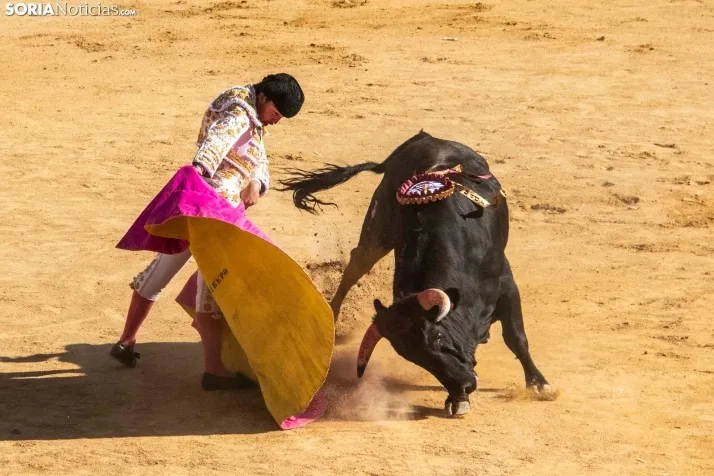 Tarde novilleril del Viernes de Toros 2025. Viksar Fotografía