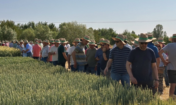 Nueva visita a los campos de ensayo de ASAJA: La organizaci&oacute;n agraria pide &quot;legalizaci&oacute;n to