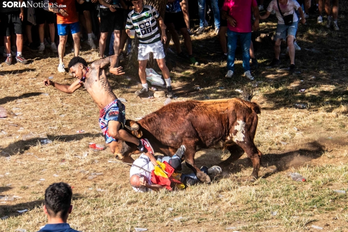 Suelta de la 'Compra' 2025./ Viksar Fotografía