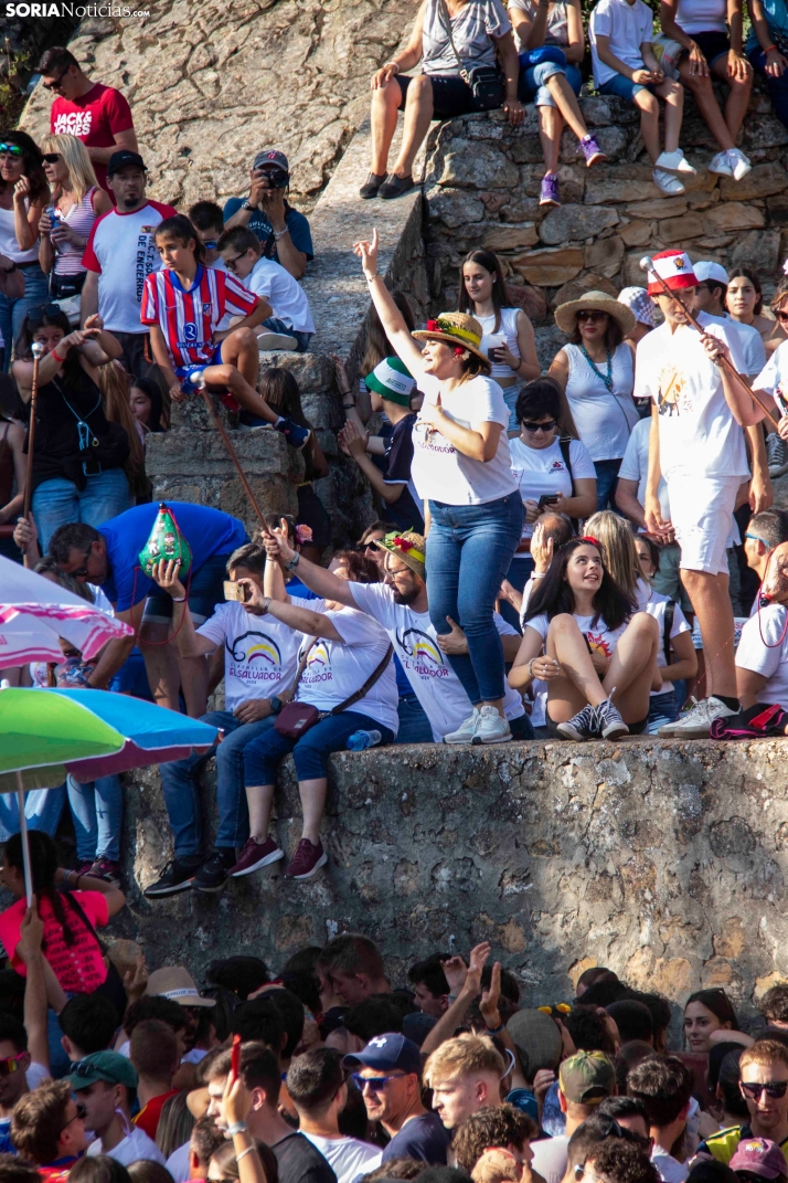 Suelta de la 'Compra' 2025./ Viksar Fotografía