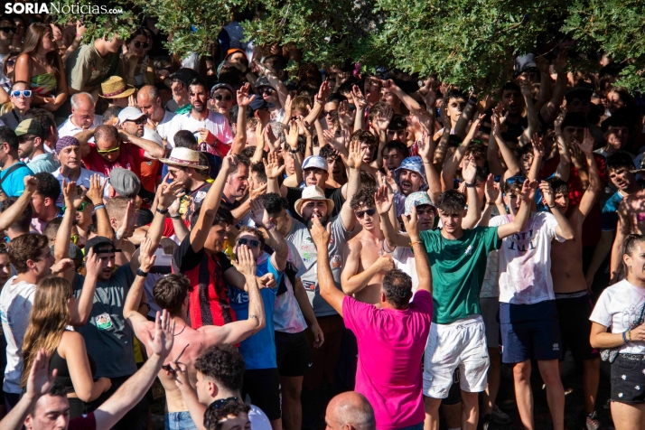 Suelta de la 'Compra' 2025./ Viksar Fotografía