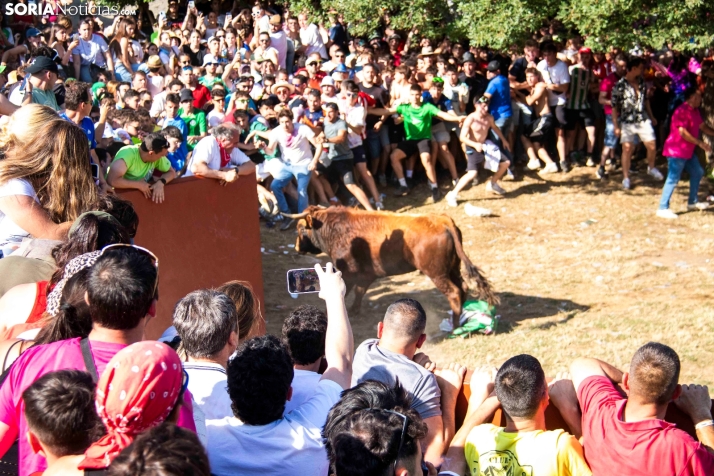 Suelta de la 'Compra' 2025./ Viksar Fotografía