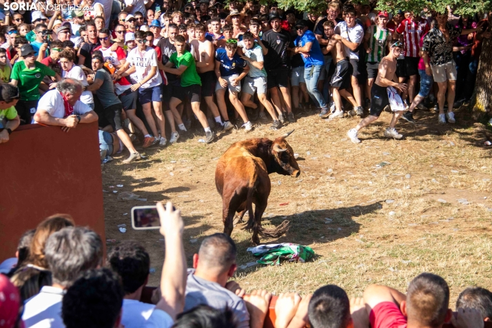 Suelta de la 'Compra' 2025./ Viksar Fotografía