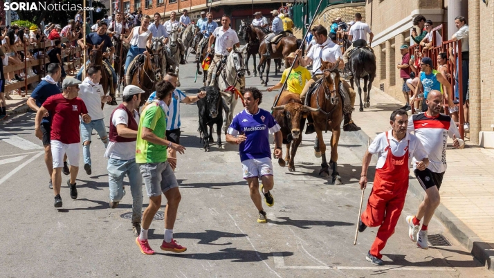 MEGAGALERÍA | La Saca 2025 al completo