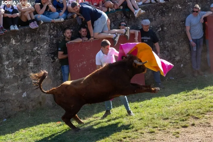 Lavalenguas 2025