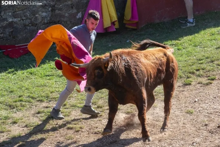 Lavalenguas 2025
